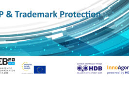 IP & Trademark Protection