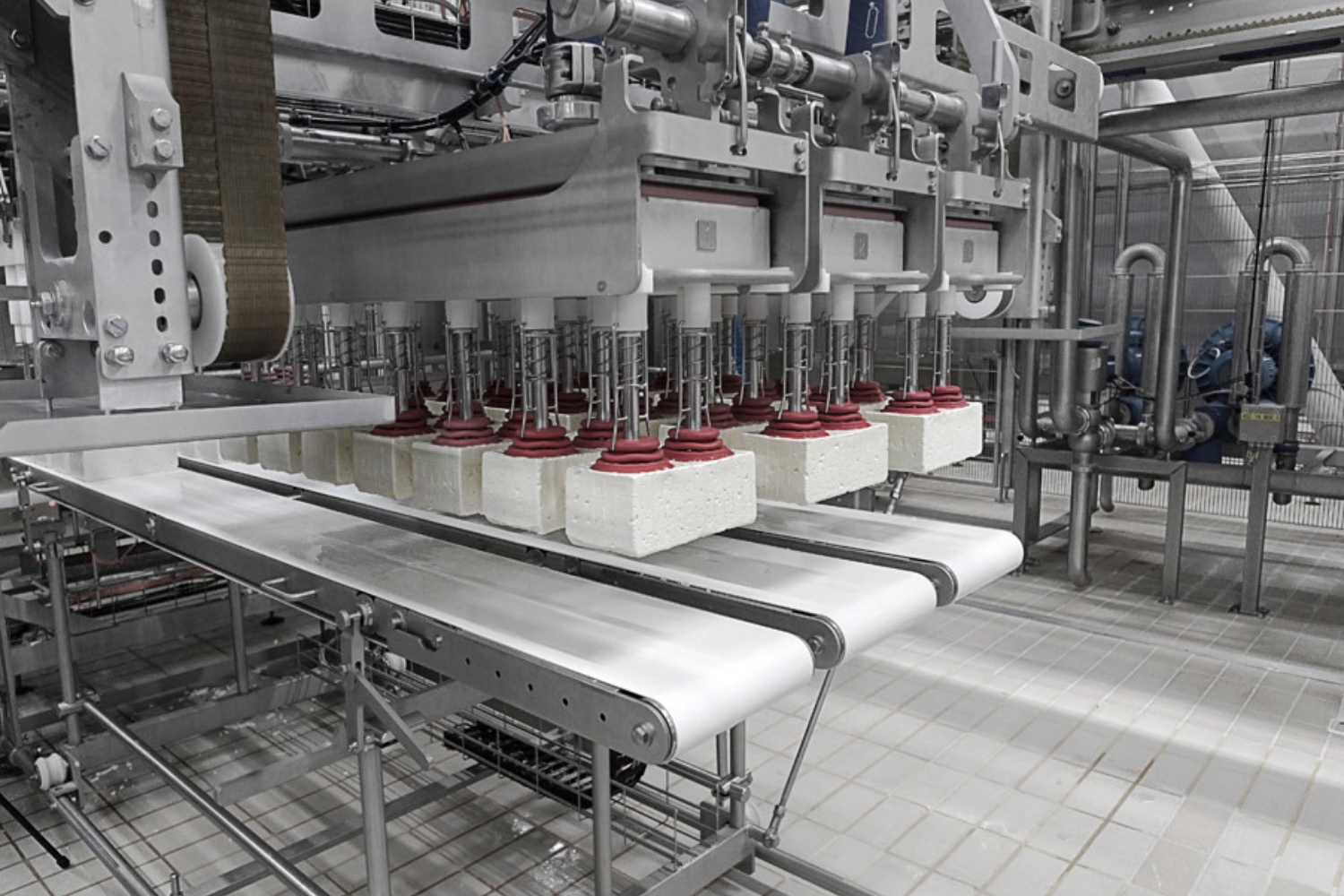 ΜΕΒΓΑΛ: Ολοκλήρωση επένδυσης για την επέκταση δυναμικότητας του τυροκομείου