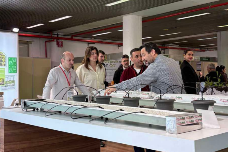 Εκδηλώσεις