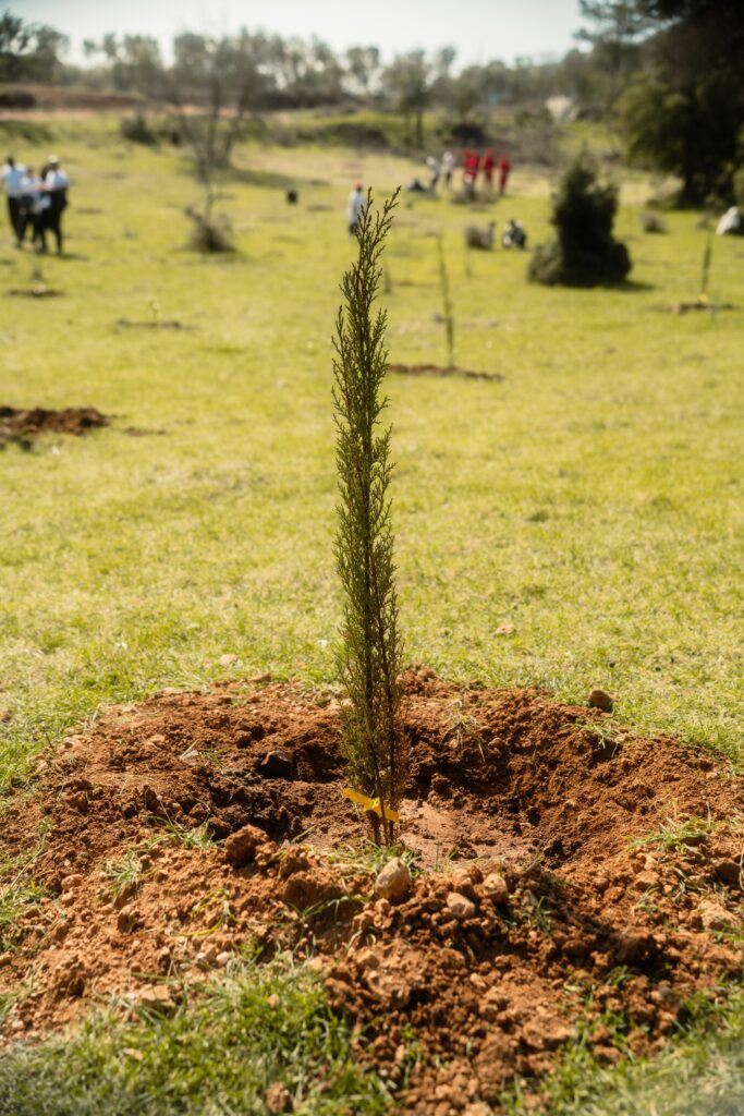 Παυλίδης Α.Ε. Μάρμαρα - Γρανίτες: Δράση με ουσιαστικό περιβαλλοντικό αποτύπωμα