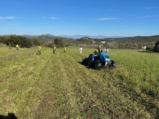 Μεταλλεία Θράκης: Δημιουργία φυτωρίου στο Πέραμα Έβρου με επίκεντρο το περιβάλλον και την τοπική ανάπτυξη